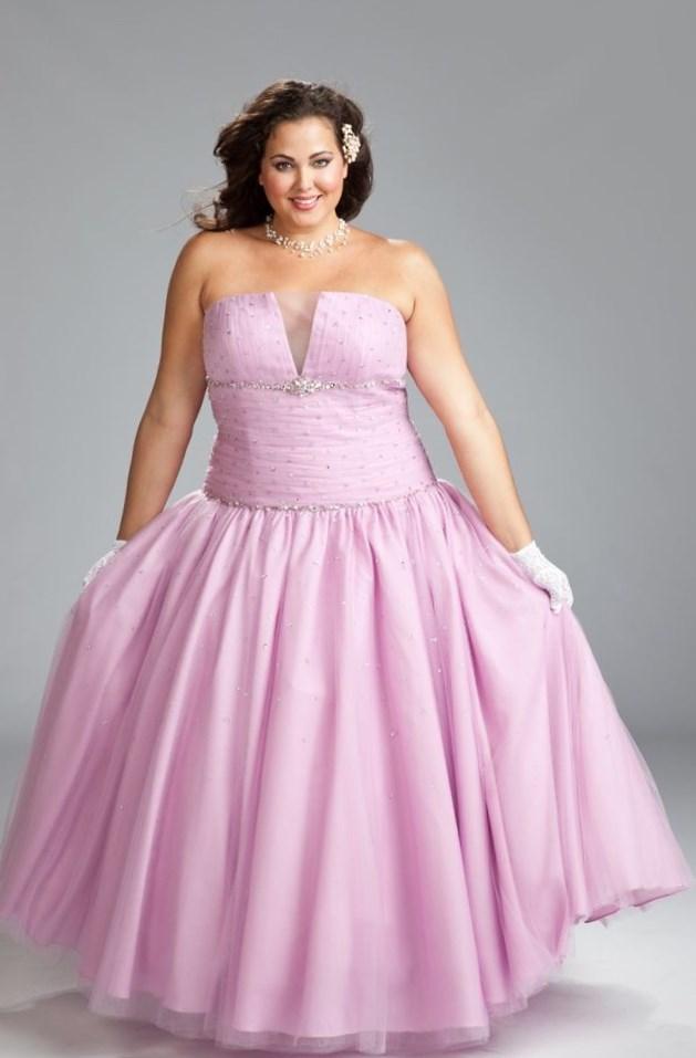 jcpenney plus size gowns